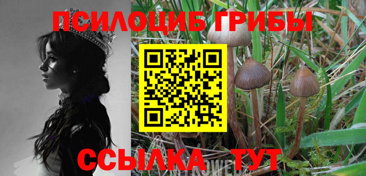 Псилоцибиновые грибы GOLDEN TEACHER  Галлюциногенные грибы Magic Shrooms  Муром  Вход с VPN 